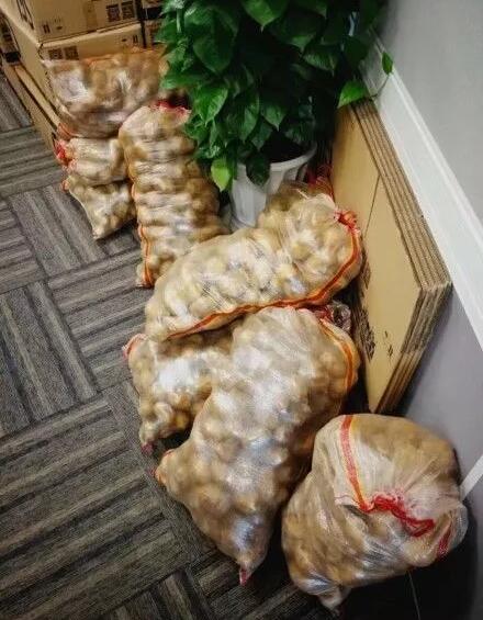 中秋福利果篮到!愿云和小伙伴苹安富贵,梨想成真,红红火火,顺顺榴榴